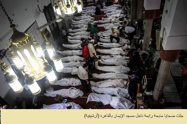 مصر ترفض قرارا أمميا يلزم بحماية المواطنين من الجرائم ضد الإنسانية!